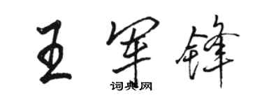 骆恒光王军锋行书个性签名怎么写