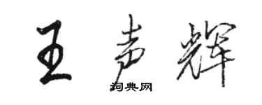 骆恒光王声辉行书个性签名怎么写