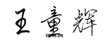 骆恒光王童辉行书个性签名怎么写