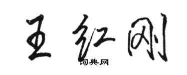 骆恒光王红刚行书个性签名怎么写