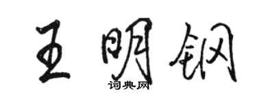骆恒光王明钢行书个性签名怎么写