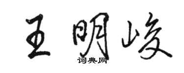 骆恒光王明峻行书个性签名怎么写