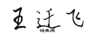 骆恒光王迁飞行书个性签名怎么写