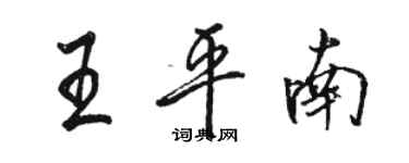 骆恒光王平南行书个性签名怎么写