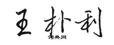 骆恒光王朴利行书个性签名怎么写