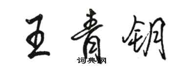 骆恒光王青钥行书个性签名怎么写