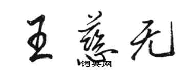 骆恒光王慈无行书个性签名怎么写