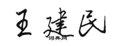 骆恒光王建民行书个性签名怎么写