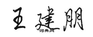 骆恒光王建朋行书个性签名怎么写