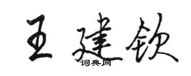 骆恒光王建钦行书个性签名怎么写