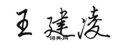 骆恒光王建凌行书个性签名怎么写