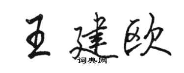 骆恒光王建欧行书个性签名怎么写