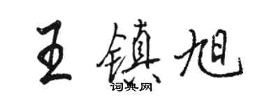 骆恒光王镇旭行书个性签名怎么写