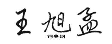 骆恒光王旭孟行书个性签名怎么写