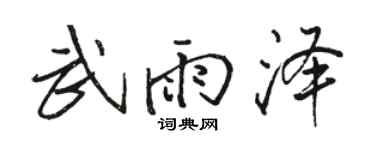 骆恒光武雨泽行书个性签名怎么写