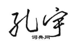 骆恒光孔宇行书个性签名怎么写