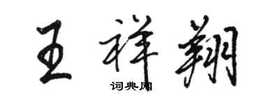 骆恒光王祥翔行书个性签名怎么写