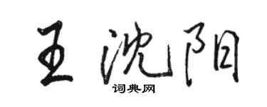骆恒光王沈阳行书个性签名怎么写