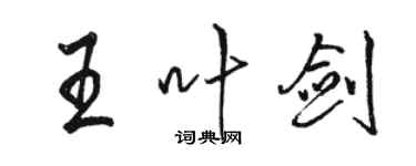 骆恒光王叶剑行书个性签名怎么写