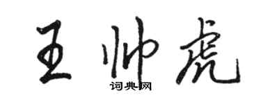 骆恒光王帅虎行书个性签名怎么写