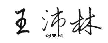 骆恒光王沛林行书个性签名怎么写