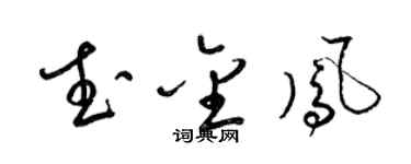 梁锦英武金凤草书个性签名怎么写