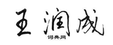 骆恒光王润成行书个性签名怎么写