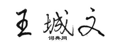 骆恒光王城文行书个性签名怎么写