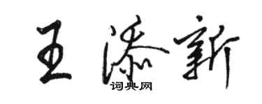 骆恒光王添新行书个性签名怎么写