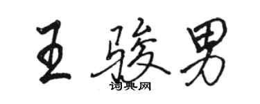 骆恒光王骏男行书个性签名怎么写