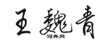 骆恒光王魏青行书个性签名怎么写