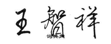 骆恒光王智祥行书个性签名怎么写