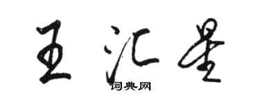 骆恒光王汇星行书个性签名怎么写