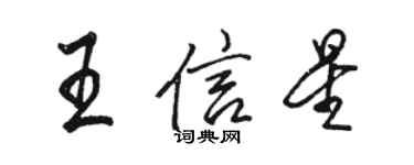 骆恒光王信星行书个性签名怎么写