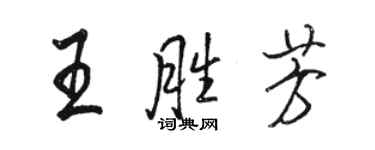 骆恒光王胜芳行书个性签名怎么写