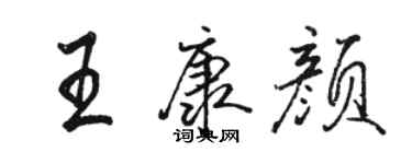 骆恒光王康颜行书个性签名怎么写