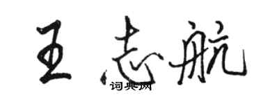 骆恒光王志航行书个性签名怎么写