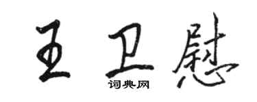 骆恒光王卫慰行书个性签名怎么写