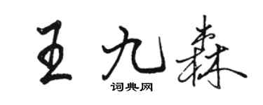 骆恒光王九森行书个性签名怎么写