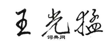 骆恒光王光猛行书个性签名怎么写