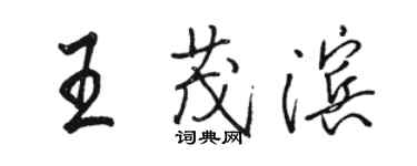 骆恒光王茂滨行书个性签名怎么写