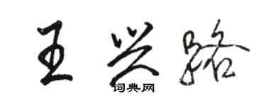 骆恒光王兴路行书个性签名怎么写