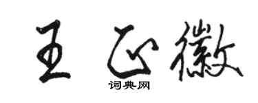 骆恒光王正徽行书个性签名怎么写