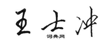 骆恒光王士冲行书个性签名怎么写