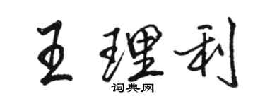 骆恒光王理利行书个性签名怎么写