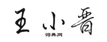 骆恒光王小晋行书个性签名怎么写