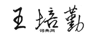 骆恒光王培勤行书个性签名怎么写