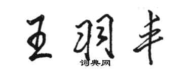 骆恒光王羽丰行书个性签名怎么写