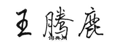 骆恒光王腾鹿行书个性签名怎么写