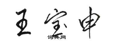 骆恒光王宝申行书个性签名怎么写
